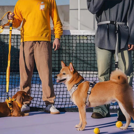 Correa ReflectaWalk | Correa duradera de doble cara para perros grandes