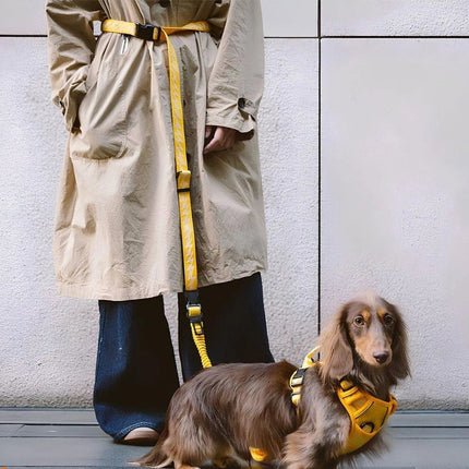 Correa ReflectaWalk | Correa duradera de doble cara para perros grandes