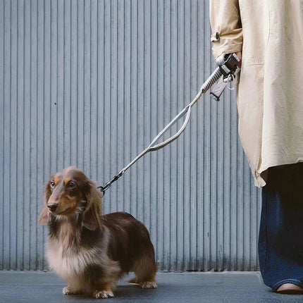Correa ReflectaWalk | Correa duradera de doble cara para perros grandes