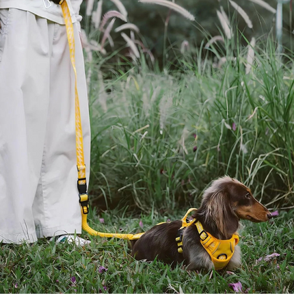 Correa ReflectaWalk | Correa duradera de doble cara para perros grandes