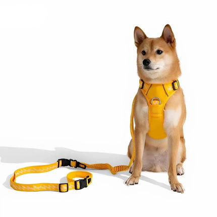 Correa ReflectaWalk | Correa duradera de doble cara para perros grandes