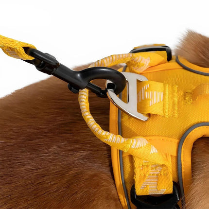 Correa ReflectaWalk | Correa duradera de doble cara para perros grandes