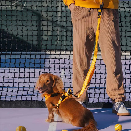 Correa ReflectaWalk | Correa duradera de doble cara para perros grandes