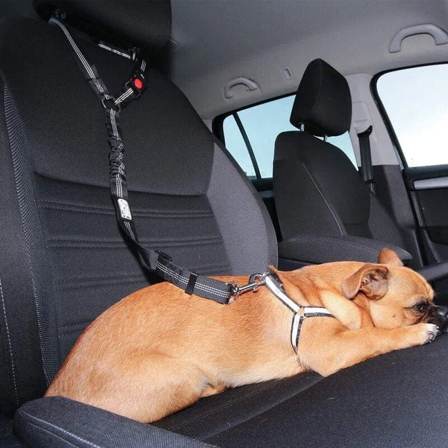 PetSafe verstelbare autogordel voor honden | Geschikt voor alle auto's | Veilig vervoeren van huisdieren | Verstelbaar 45-65 cm | Comfortabele en duurzame honden autoriem