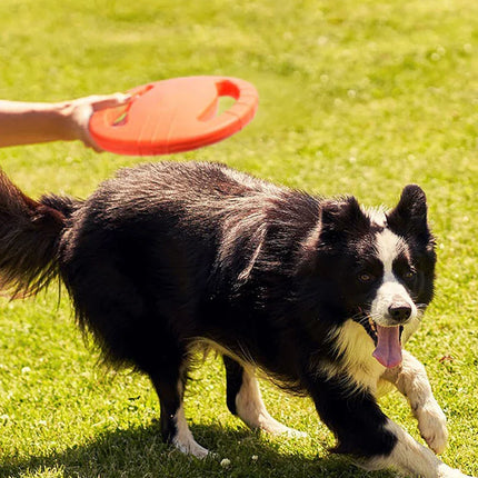 Duurzame Vliegende Schijf voor Honden | Ideaal voor Actieve Training en Speelsessies | Geschikt voor Alle Hondenmaten | Slijt- en Waterbestendig