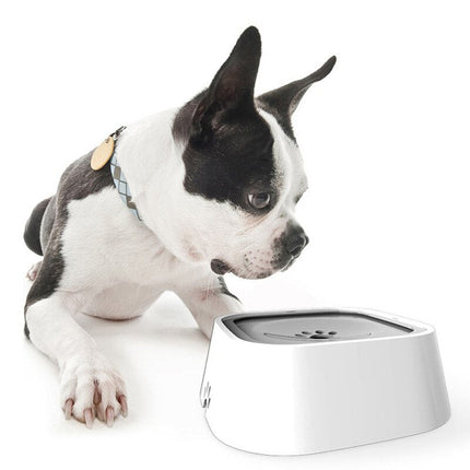 PawsFlow Hondendrinkfontein 2L | Voorkomt Morsen | BPA-vrij Plastic | Vers Water | Eenvoudig Reinigbaar | LED Waterniveau-indicator