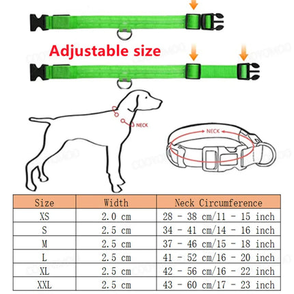 LED Verlichte Veiligheidshalsband voor Huisdieren | Oplaadbaar via USB, Waterbestendig, 3 Lichtmodi | Geschikt voor Honden en Katten