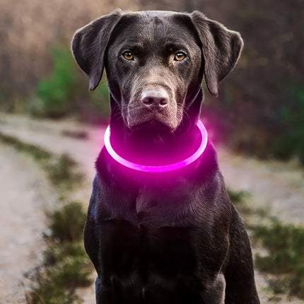 GlowPaws | Oplaadbare LED Veiligheidshalsband voor Honden met Meerdere Lichtstanden | Weerbestendig