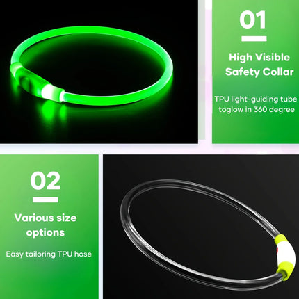 GlowPaws | Oplaadbare LED Veiligheidshalsband voor Honden met Meerdere Lichtstanden | Weerbestendig