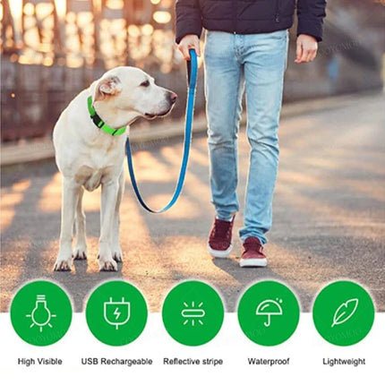 LED Verlichte Veiligheidshalsband voor Huisdieren | Oplaadbaar via USB, Waterbestendig, 3 Lichtmodi | Geschikt voor Honden en Katten