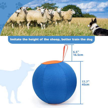 HerdMaster | Duurzame Opblaasbare Speelbal voor Honden, 45 cm | Polyester, Inclusief Handpomp | Blauw & Oranje