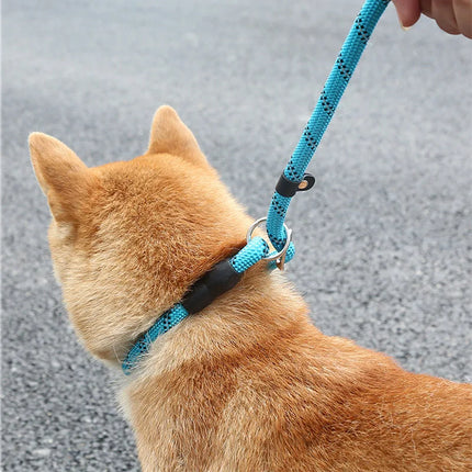 Reflecterende Nylon Hondenlijn 180 cm | Gevoerde Handgreep | Verstelbaar voor Middelgrote en Grote Honden | Kleuren: Zwart, Groen, Blauw, Rood