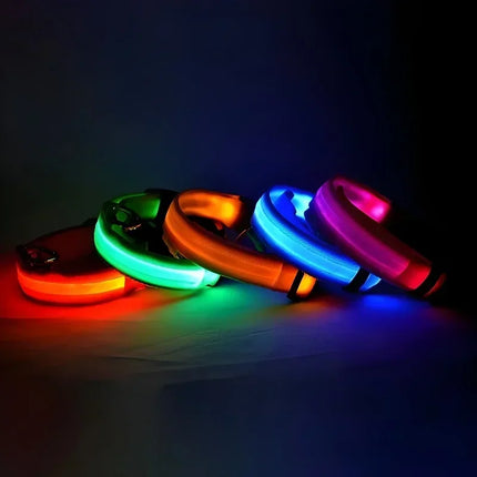 GlowBuddy Verstelbare Nylon Halsband met LED-verlichting | Veilig en Reflecterend voor Honden tijdens Nachtelijke Wandelingen