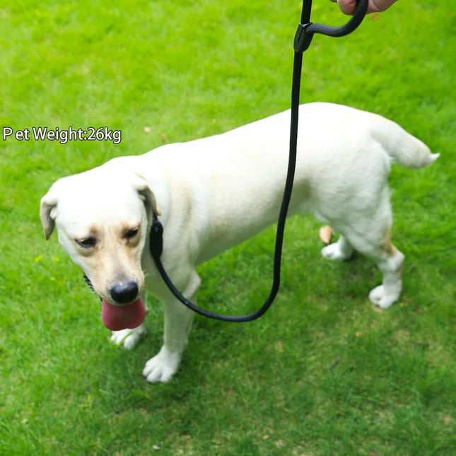 Reflecterende Polyesterriem voor Honden | Veiligheid en Stijl voor Nachtelijke Wandelingen | 120 cm | Geschikt voor Kleine tot Grote Honden | Robuust en Duurzaam | Zwart