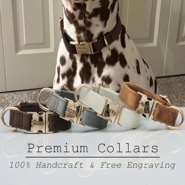 Fluwelen Hondenhalsband Ritssluitset | Gepersonaliseerd | Meerdere Kleuren | Bruin Grijs Wit | Metalen Gesp | Hondenriem | Bruiloft Geschikt