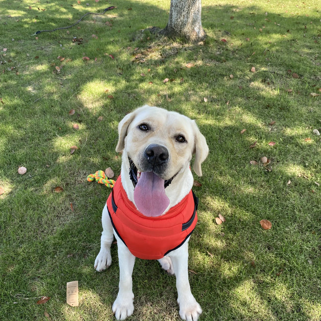 Warme Winterjas met Ingebouwd Harnas voor Alle Hondengroottes | Waterafstotend en Ademend Materiaal | Ideaal voor Koude Weersomstandigheden