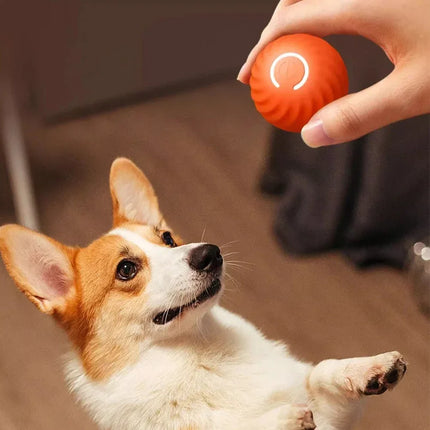 Interactieve Oplaadbare Huisdier Bal | Slimme Zwaartekracht Stuiterbal voor Kat en Hond | Automatische Rolfunctie
