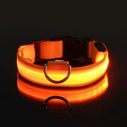 GlowBuddy Verstelbare Nylon Halsband met LED-verlichting | Veilig en Reflecterend voor Honden tijdens Nachtelijke Wandelingen