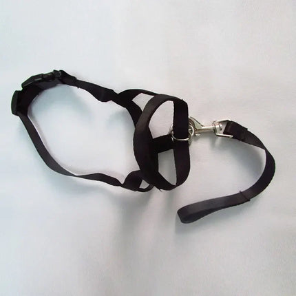 QuietFit Nylon Hondenmuilband | Verstelbaar en Comfortabel | Beschikbaar in Meerdere Kleuren en Maten S tot 2XL