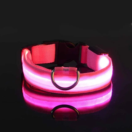 GlowBuddy Verstelbare Nylon Halsband met LED-verlichting | Veilig en Reflecterend voor Honden tijdens Nachtelijke Wandelingen
