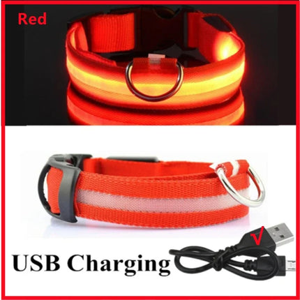 LED Verlichte Veiligheidshalsband voor Huisdieren | Oplaadbaar via USB, Waterbestendig, 3 Lichtmodi | Geschikt voor Honden en Katten