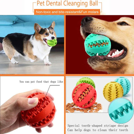 ChewPlay Interactieve Bal voor Honden | Bestand tegen Kauwen | Tandverzorging & Snackverstrekker | Veilig Natuurlijk Rubber