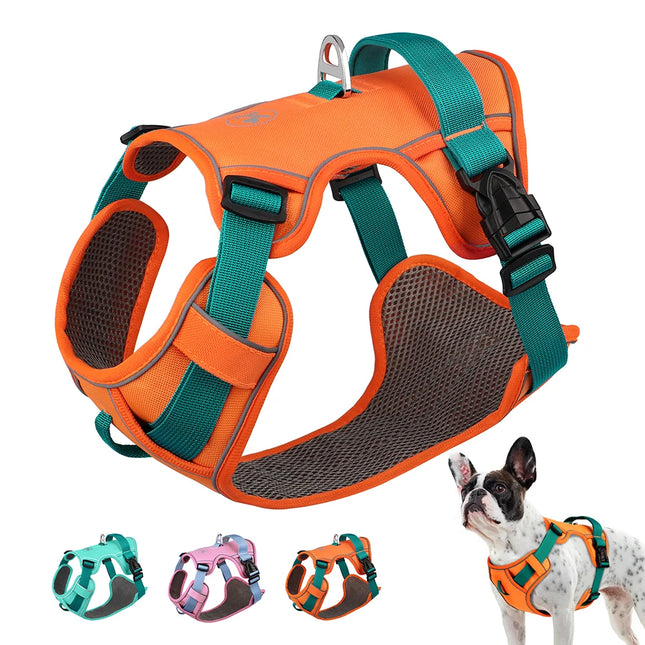 Didog Hondentuig Ademend Mesh Nylon | Reflecterend Duurzaam Verstelbaar | Roze/Oranje/Blauw | Geschikt voor Kleine Middelgrote Grote Honden | Voor Training en Wandelen | Alle Seizoenen