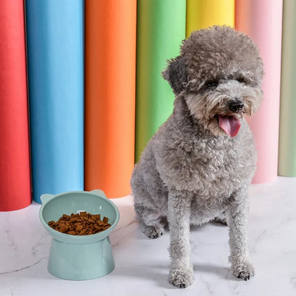 Ergonomische Verhoogde Voerbak voor Honden en Katten | Anti-Knoei 45° Schuine Bak met Stabiele Staander | Beschikbaar in Blauw, Groen, Roze