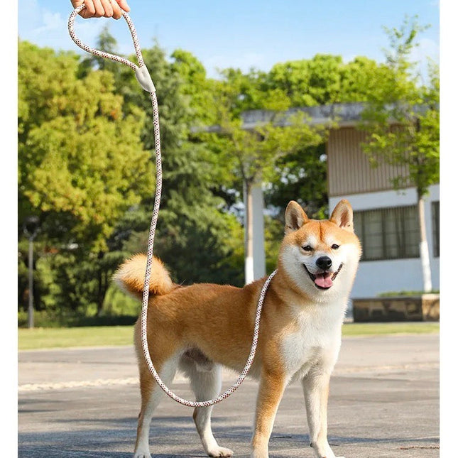 Reflecterende Veiligheidsriem | Verstelbaar en Duurzaam | Voor Middelgrote en Grote Honden | Comfortabel No-Pull Design | Nylon | Verschillende Kleuren | Perfect voor Nachtelijke Wandelingen