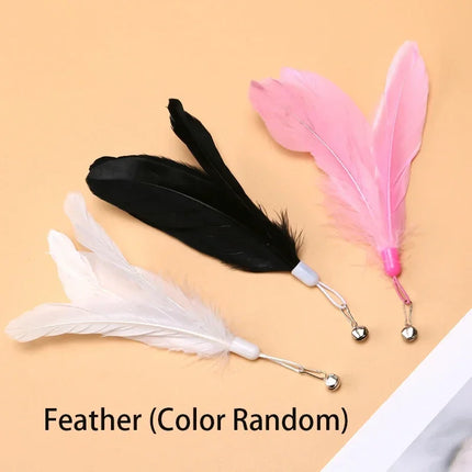 FeatheryFun Interactief Vermaak voor Katten | Zuignap Bevestiging | Rinkelende Bel en Natuurlijke Veren | Stimuleert Gezondheid en Spel