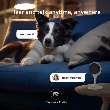 Boykeep 2K Dual-band Wifi | Beveilig Bebés, Huisdieren & Ouderen | SD-kaart & Cloudopslag | Nachtzicht en Tweeweg-audio | Bekijk live via App