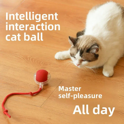 Interactieve Speelbal voor Katten en Honden | Automatisch en Oplaadbaar met Obstakelontwijking | Duurzaam en Geluidloos Design