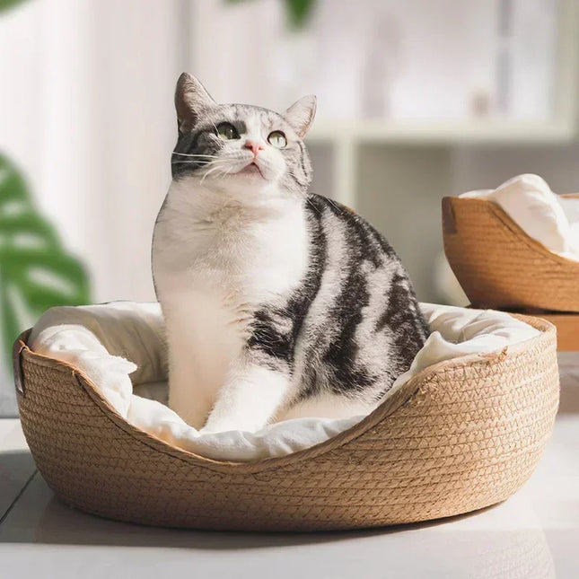 YBPetra Kattenmand | Bamboe Weeftechniek | Eco-vriendelijk | Zacht Meubel voor Binnenkatten | Ademendontwerp | 100% Katoen | Handgeweven Huisdier Sofa | Stijlvol en Duurzaam | Geschikt voor Kleine en Middelgrote Katten
