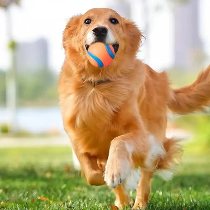 Onbreekbare Speelbal voor Honden | Veilig en Duurzaam | Geschikt voor Apporteren, Kauwen | Voor alle Grootte Honden | Makkelijk Schoon te Maken