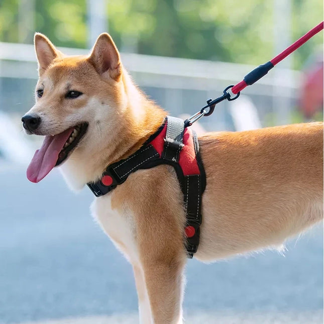 Hondenharnas Verstelbaar | Nylon Reflecterend | Geschikt voor Alle Honden | 150cm Sterke Riem | Zwart Rood Camouflage Luipaard | Alle Seizoenen Draagcomfort | Duurzaam en Veilig
