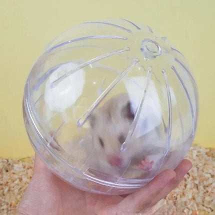 MOONBIFFY Hamster Rennende Bal | Transparant Ademend Ontwerp | Kleine Dieren Fitness Toy | Loopwiel