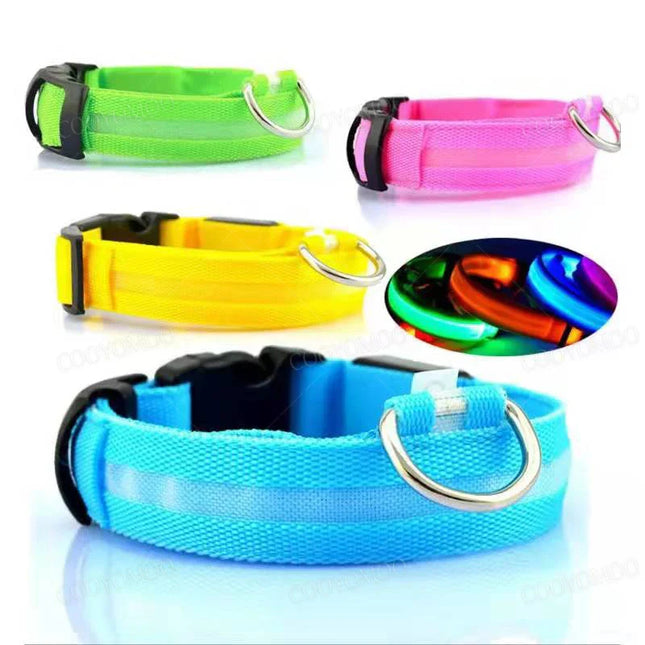 LED Verlichte Veiligheidshalsband voor Huisdieren | Oplaadbaar via USB, Waterbestendig, 3 Lichtmodi | Geschikt voor Honden en Katten