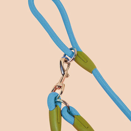 LumiPaw Handenvrije Looplijn | Reflecterend Nylon | Verstelbaar voor Alle Hondenmaten | Sterk voor Trainen, Wandelen & Joggen