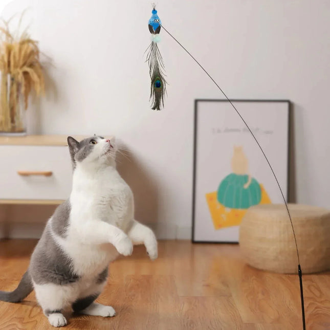 Kattenspeelgoed | Interactieve Pauwenpluim Met Bel | Kunststof Verenstok | Kattenstok | Speeltjes Voor Kittens En Katten | Huisdierbenodigdheden | Veilig En Duurzaam | Simulatie Vogelmotief | Indoor Plezier