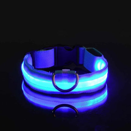 GlowBuddy Verstelbare Nylon Halsband met LED-verlichting | Veilig en Reflecterend voor Honden tijdens Nachtelijke Wandelingen
