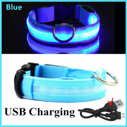 LED Verlichte Veiligheidshalsband voor Huisdieren | Oplaadbaar via USB, Waterbestendig, 3 Lichtmodi | Geschikt voor Honden en Katten