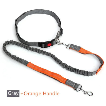 Handsfree Hondenriem voor Joggen en Wandelen | Verstelbare Heupriem en Uittrekbaar Nylon met Reflecterende Strepen