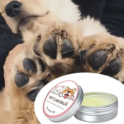 Pawfect Care | Voedende Balsem voor Neuzen en Poten van Huisdieren | Geschikt voor Honden en Katten | Weerbestendig | 50g