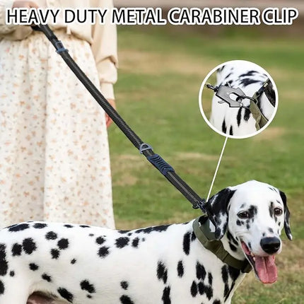Bungee Hondenriem met Snelsluiting | Reflecterende Draad | Schokabsorberend | Dubbel Handvat | Weerbestendig Nylon | Voor Grote Honden | 178 cm Uittrekbaar