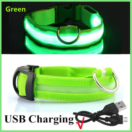 LED Verlichte Veiligheidshalsband voor Huisdieren | Oplaadbaar via USB, Waterbestendig, 3 Lichtmodi | Geschikt voor Honden en Katten