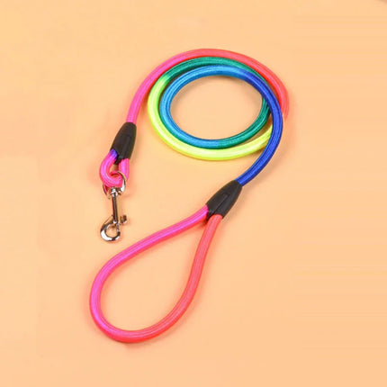 Nylon Hondenriem | Duurzaam en Lichtgewicht | Comfortabel Handvat | Heldere Kleuren | Geschikt voor Kleine en Middelgrote Puppy's | Ideaal voor Dagelijks Gebruik en Reizen
