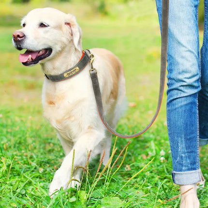 Hondenhalsband Pippa | Verstelbaar PU-leer | Inclusief Naamplaat | Veilig en Comfortabel
