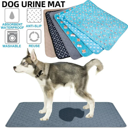 Herbruikbare Trainingsmat voor Honden | 4-laags Absorberend & Antislip Ontwerp | Geschikt voor Meubel- en Autobescherming | Machinewasbaar