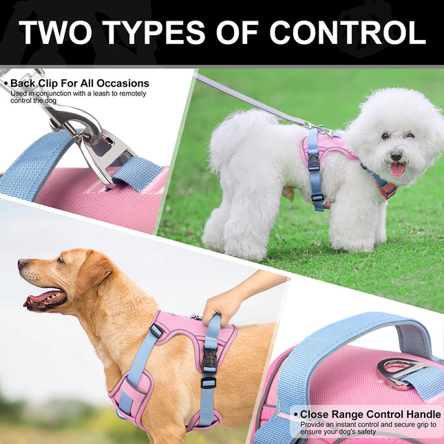 Didog Hondentuig Ademend Mesh Nylon | Reflecterend Duurzaam Verstelbaar | Roze/Oranje/Blauw | Geschikt voor Kleine Middelgrote Grote Honden | Voor Training en Wandelen | Alle Seizoenen