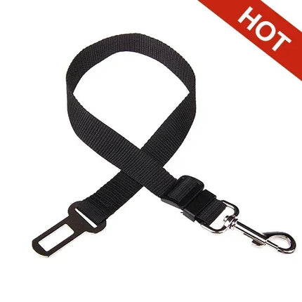 SafeRide Veiligheidsriem voor Huisdieren | Verstelbaar Nylon met Zinklegering Clip | Geschikt voor Honden en Katten | Meerdere Kleuren